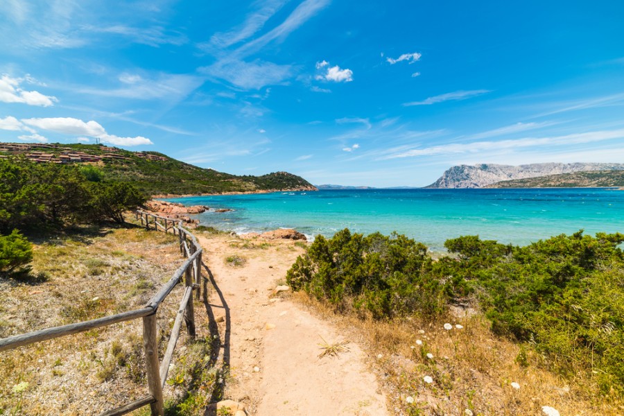 Découverte de l'île de Cavallo : un joyau caché en Corse