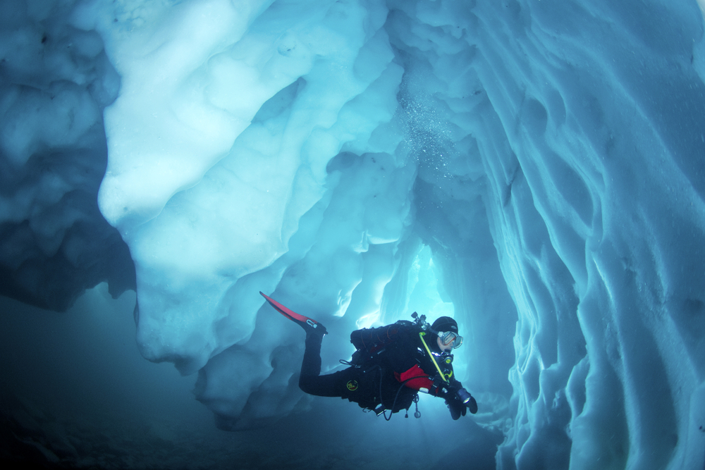 Plongée sous glace : où et comment pratiquer cette activité unique ?