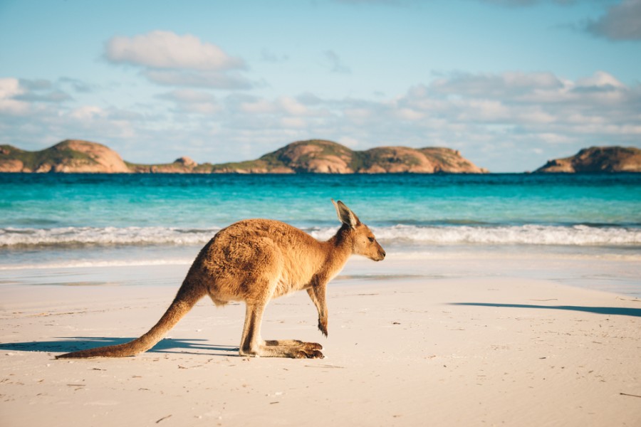 Paysage d'Australie : quels sont les plus beaux endroits à visiter ?