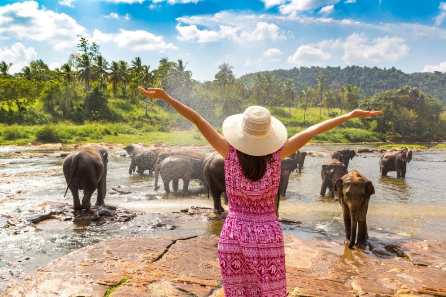 Quelle est la meilleure période pour visiter le Sri Lanka ?