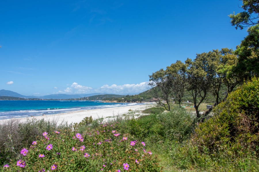 Quelle est la plus belle plage de Porticcio ?