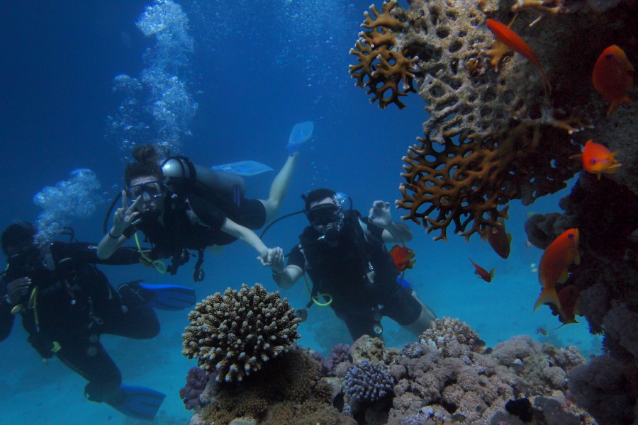 Où faire un baptême de plongée sous-marine extraordinaire